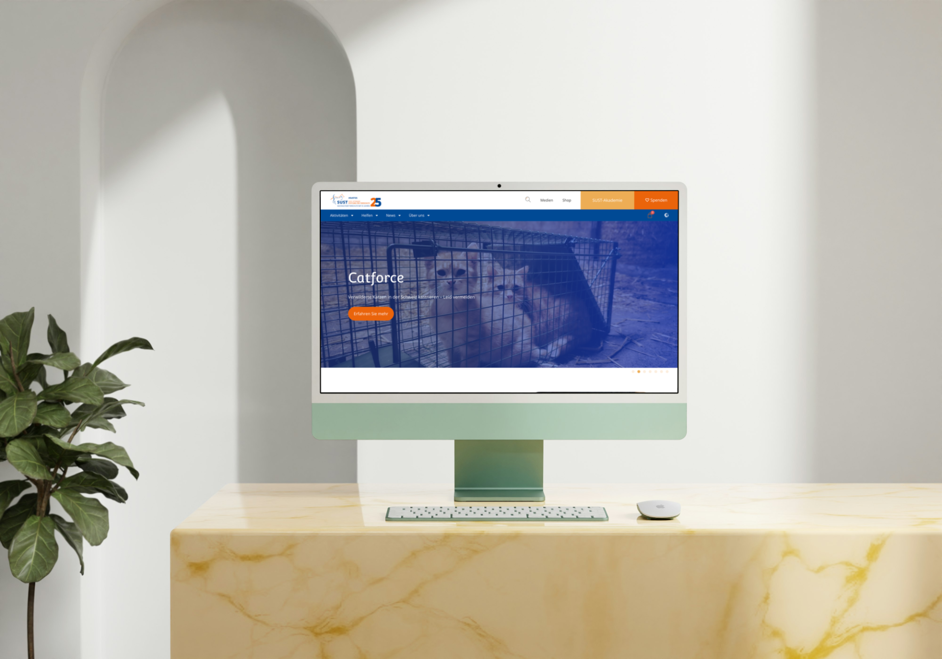 Susy Utzinger, Mockup Website susyutzinger.ch